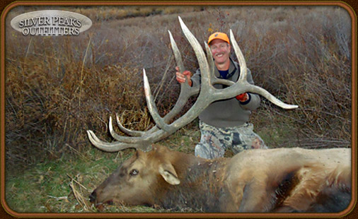 The elk hunting legend called 'Dennis 31' with his very impressive 6x6 Bull taken with Silver Peaks Outfitters in Southwest Colorado The elk hunting legend called 'Dennis 31' with his very impressive 6x6 Bull taken with Silver Peaks Outfitters in Southwest Colorado