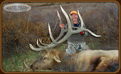 The elk hunting legend called 'Dennis 31' with his very impressive 6x6 Bull taken with Silver Peaks Outfitters in Southwest Colorado