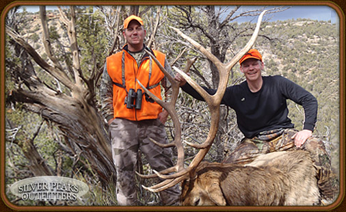 Andy takes one for the wall, with his trophy 6x6 Bull Elk! Get a wallhanger of your own at SPO's Trophy Elk Hunting Camp #7. Andy takes one for the wall, with his trophy 6x6 Bull Elk! Get a wallhanger of your own at SPO's Trophy Elk Hunting Camp #7.